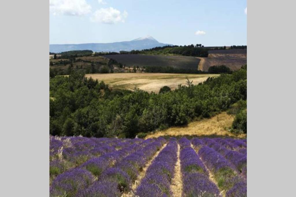Chambre D Hotes Dans Le Vaucluse Mazan Exteriér fotografie