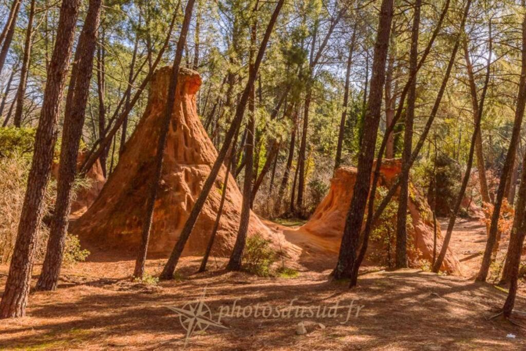 Chambre D Hotes Dans Le Vaucluse Mazan Exteriér fotografie