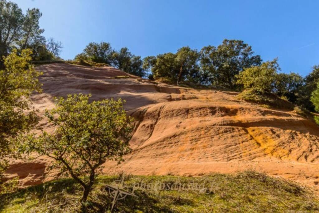 Chambre D Hotes Dans Le Vaucluse Mazan Exteriér fotografie