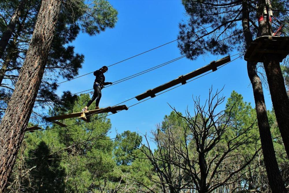 Chambre D Hotes Dans Le Vaucluse Mazan Exteriér fotografie