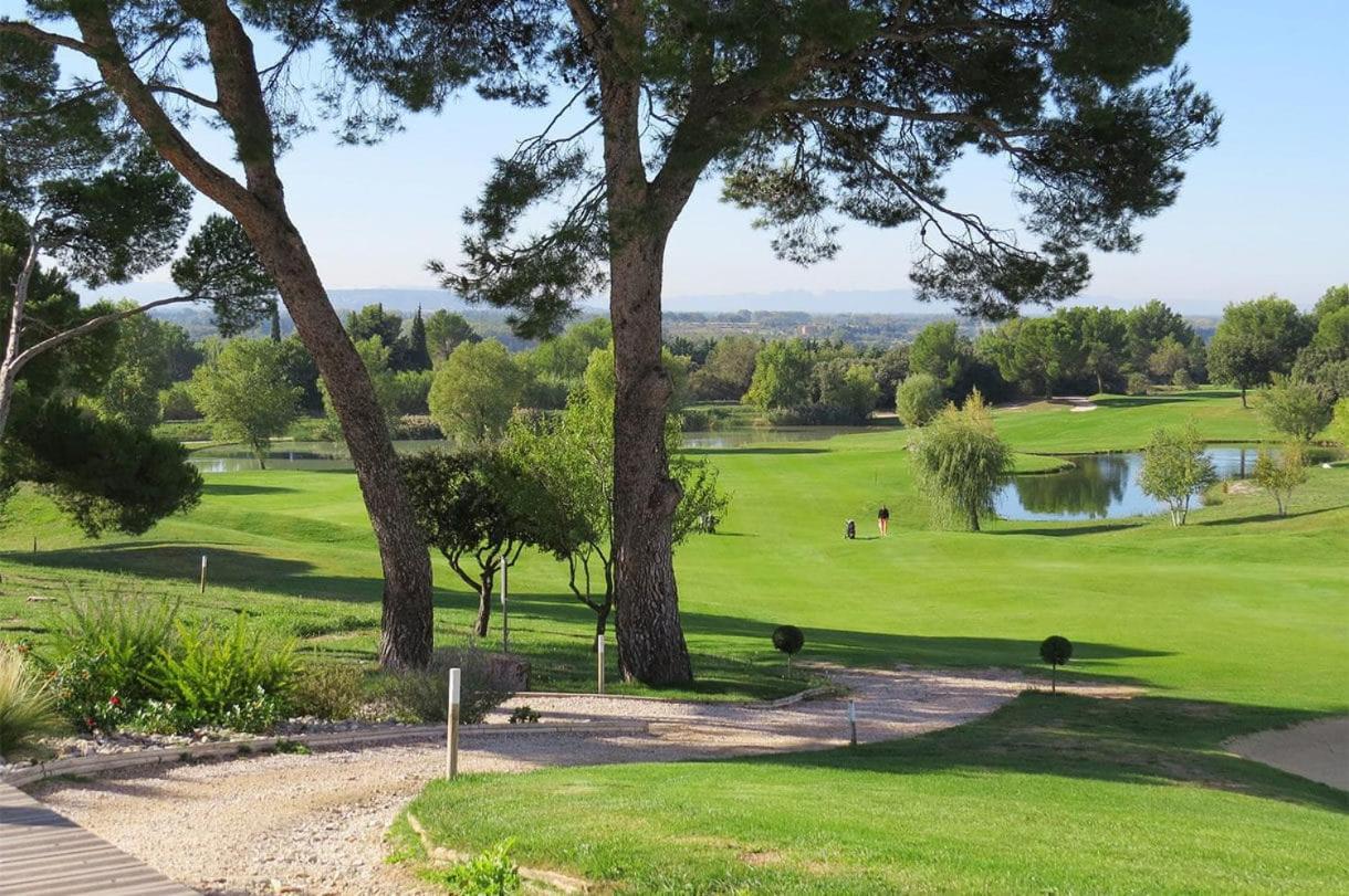 Chambre D Hotes Dans Le Vaucluse Mazan Exteriér fotografie