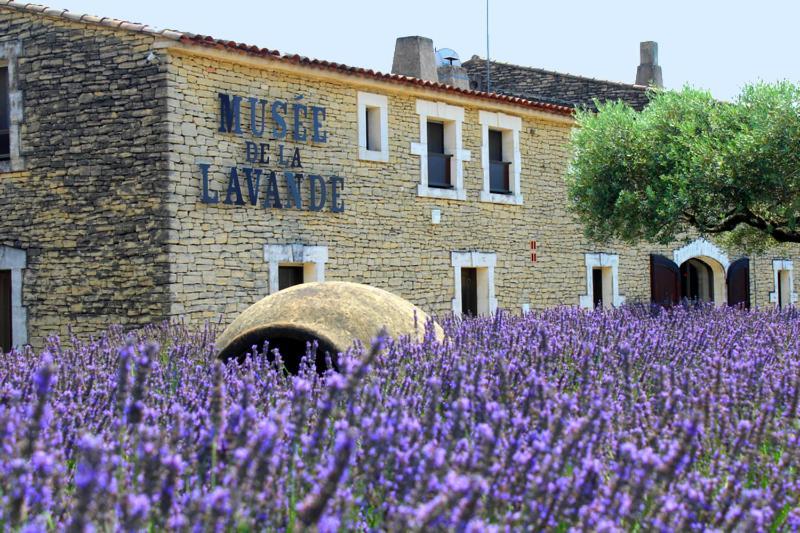Chambre D Hotes Dans Le Vaucluse Mazan Exteriér fotografie