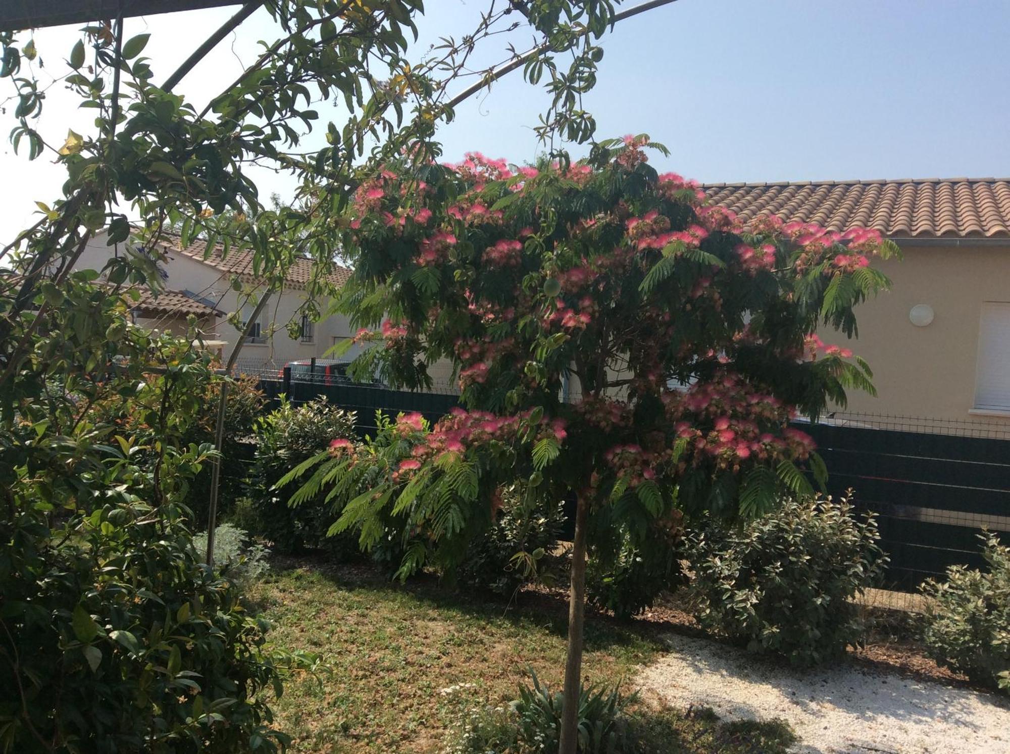 Chambre D Hotes Dans Le Vaucluse Mazan Exteriér fotografie